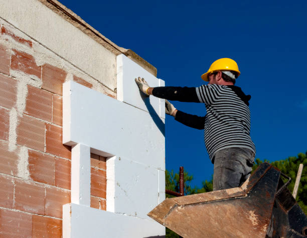 Best Eco-Friendly Insulation in Sierra Ridge, CO