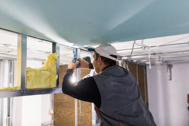 Best Geographic-Specific Insulation Services in Sierra Ridge, CO