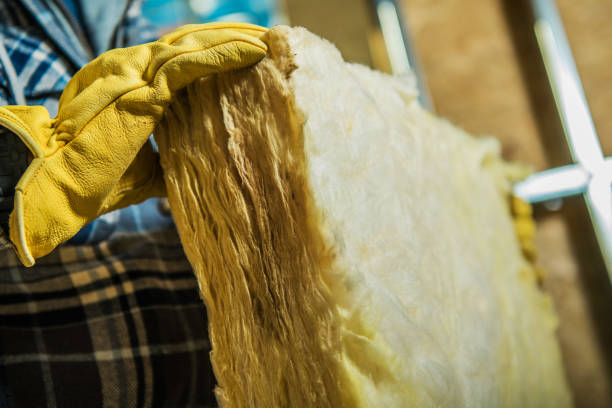 Best Energy Efficiency Insulation in Sierra Ridge, CO