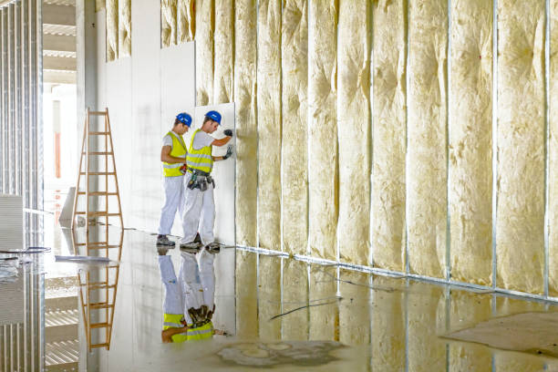 Best Spray Foam Insulation in Sierra Ridge, CO
